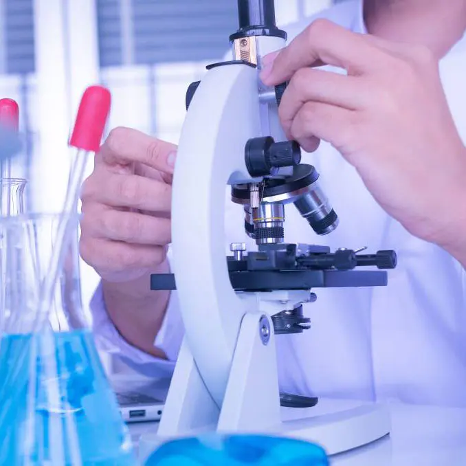 Processo de produção de borato de zinco